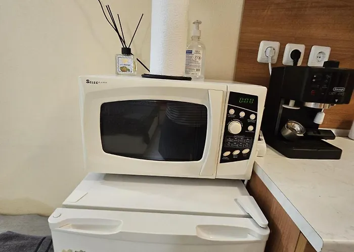 Apartment Polo Slantschew brjag